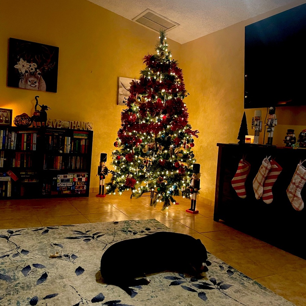 Meet your Posher, Breanna